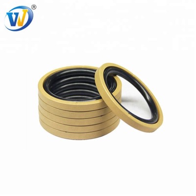 Piston cup expanded gasket cup ptfe seal